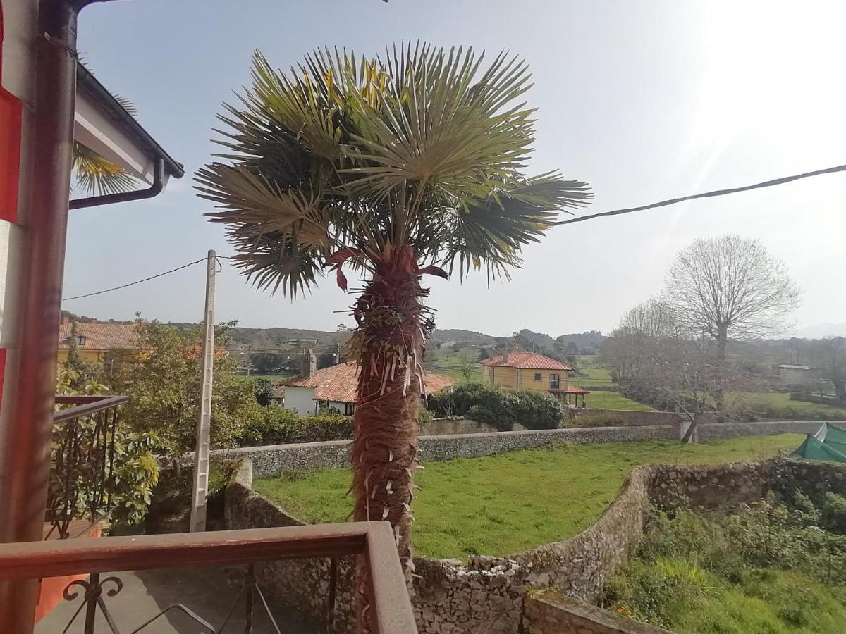 Hotel Las Palmeras Celorio  Dış mekan fotoğraf